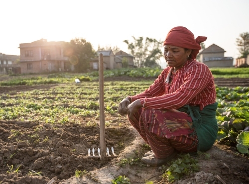 Weitermachen wo die Not grassiert