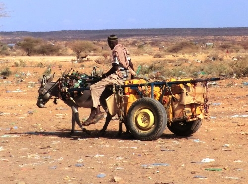 Die nächste Hungersnot droht