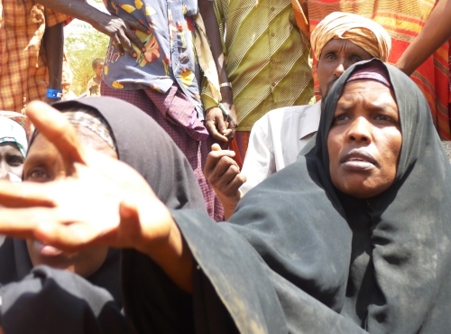 Dürre und Hunger am Horn von Afrika