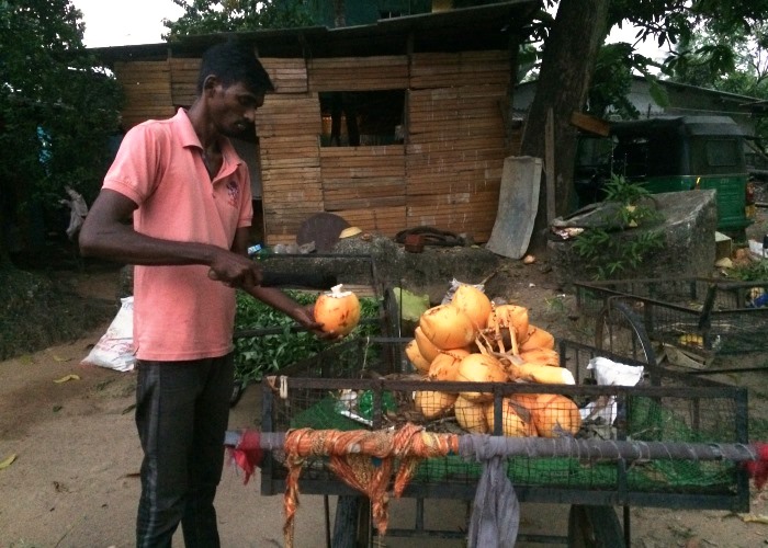 Mittlerweile auch bei uns ein Trendgetränk: In Sri Lanka werden vor demhumedica-Gebäude auf der Straße Kokosnüsse verkauft. Foto:humedica