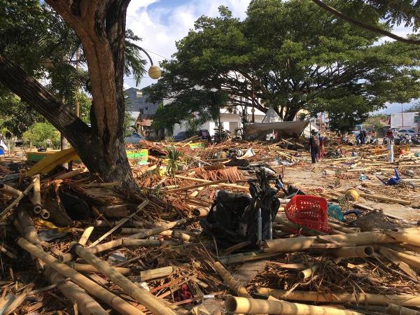 Bilder der Zerstörung