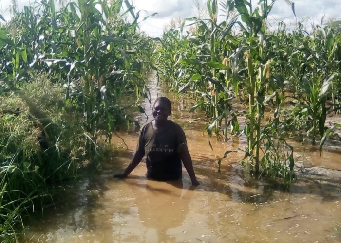 Das Wasser steht zum Teil hüfthoch auf den Feldern. Die Ernte ist zerstört. Foto:humedica