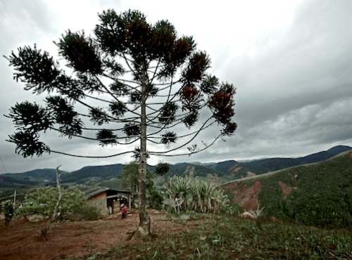 Willkommen in der Achterbahn