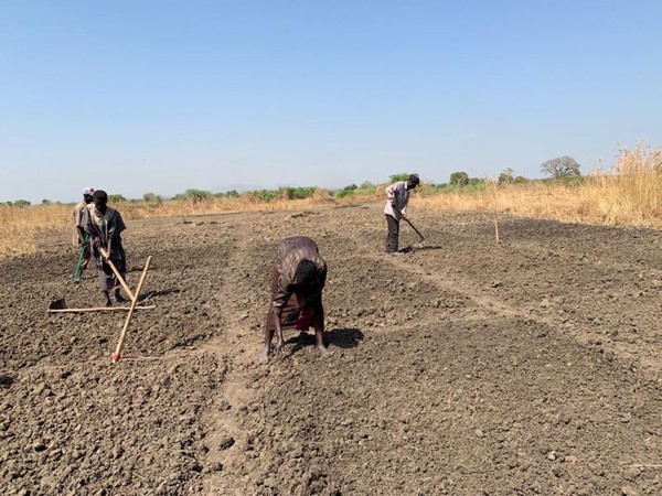 Hunger, COVID 19 und ein schlechtes Gesundheitssystem