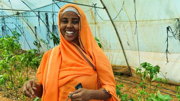 Nach den Heuschrecken kam der Sturm